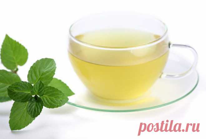 • ТОНУС-КЛУБ® • здоровье, стройность и красота