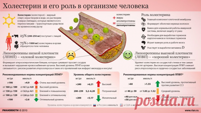 Норма холестерина в крови у женщин и мужчин по возрасту, таблица. Холестерин «плохой» и «хороший»