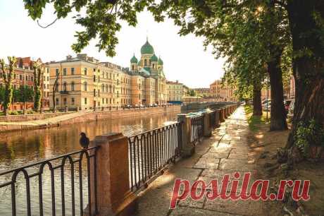 Pin page