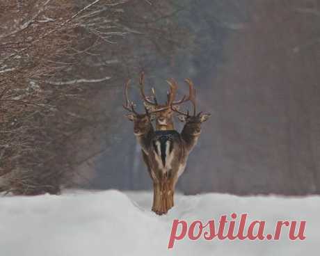 (+1) тема - Фотографии, которые обманут ваши глаза | Отдыхаем с юмором