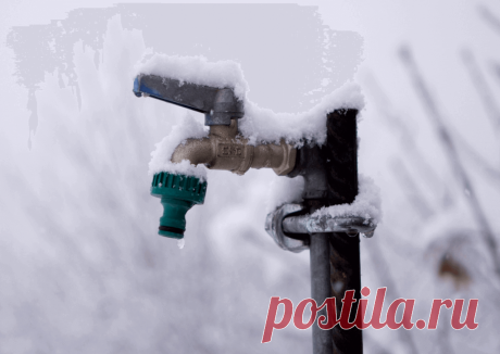 Календарь сезонных работ в саду: декабрь - Planetalsad