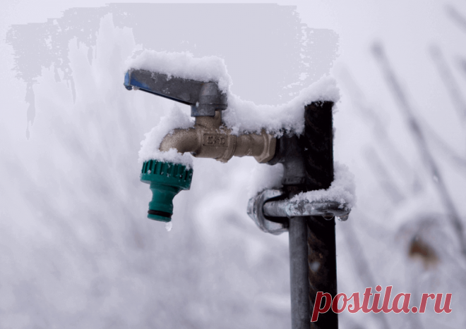 Календарь сезонных работ в саду: декабрь - Planetalsad