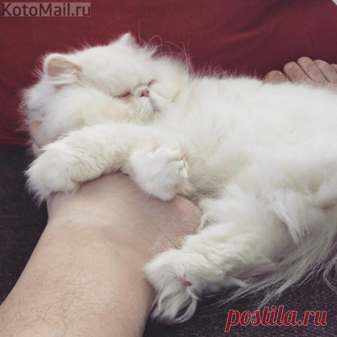 Субботушка