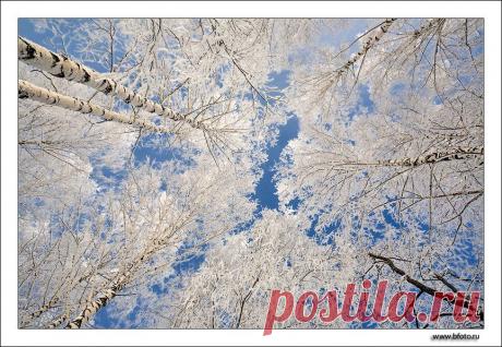 Приметы и поверья на 23 января, день Григория Летоуказателя - Народные приметы