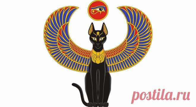 Кошачья Сириуса цивилизация