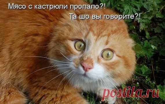 Котлеты для ~Английской королевы~. | 4vkusa.ru
