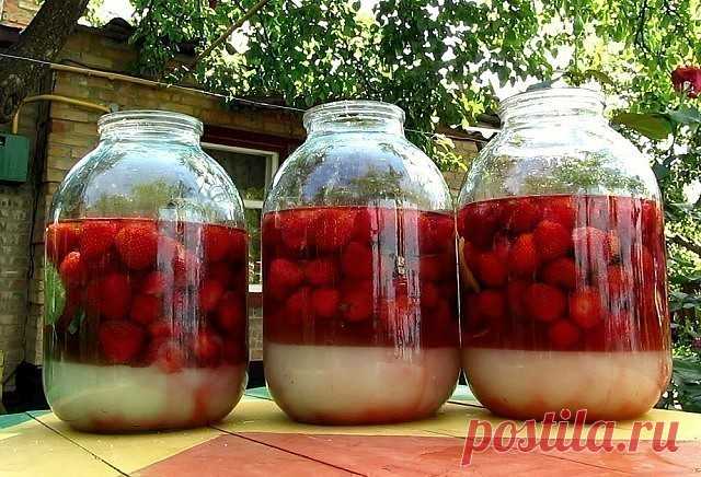 4 стакана сахара, 4 стакана воды, 4 стакана ягод, 4 стакана водки!
Ягодная наливка - просто, вкусно и главное своими руками!