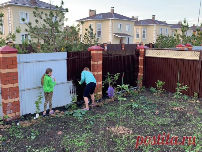 Красим забор с внутренней стороны.Показываю как можно своими руками навести красоту во дворе . Получилось шикарно . | Мысля от Эдгара / Строительство | Яндекс Дзен