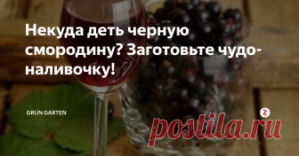 Некуда деть черную смородину? Заготовьте чудо-наливочку!
