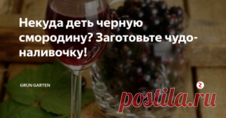 Некуда деть черную смородину? Заготовьте чудо-наливочку!