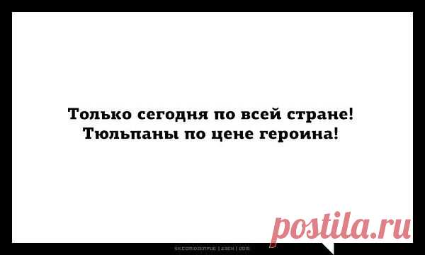 Интересные новости