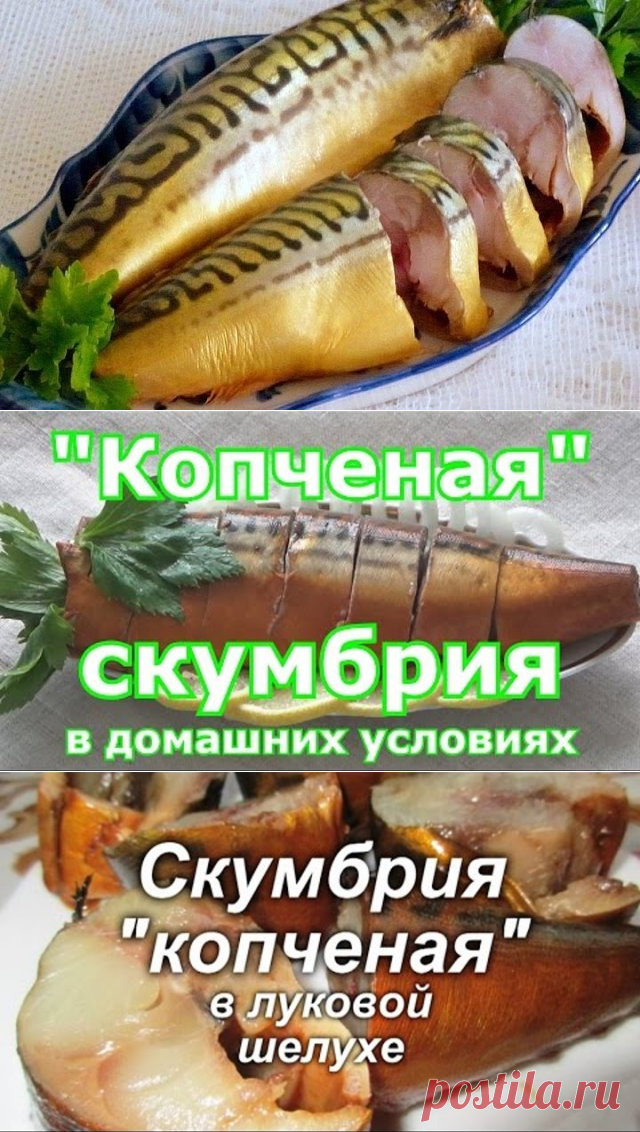 4 непрочитанных чата