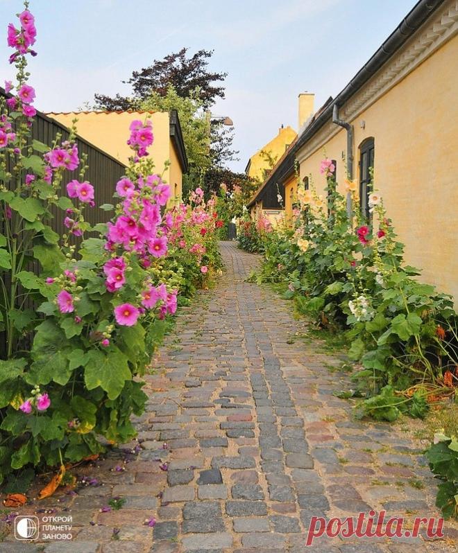 Симпатичная деревня с желтыми домиками - Драгёр - Путешествуем вместе