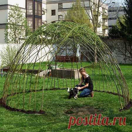 Как сделать беседку из ивы в саду