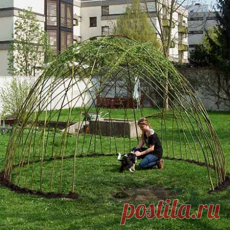Как сделать беседку из ивы в саду