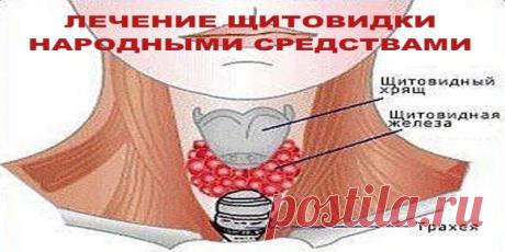 ЛЕЧЕНИЕ ЩИТОВИДКИ НАРОДНЫМИ СРЕДСТВАМИ | Полезные советы