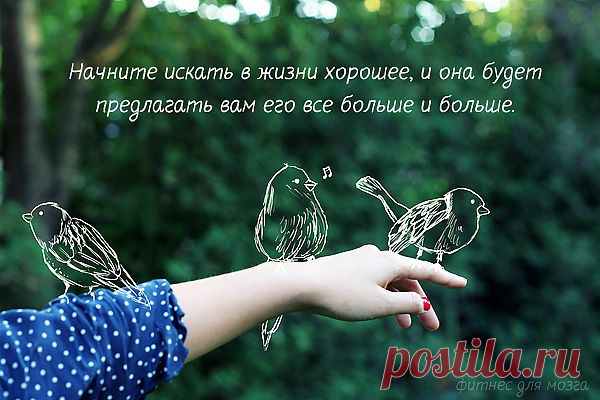 Позитиваторы | Фитнес для мозга