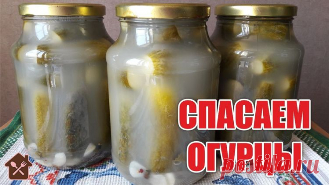 Спасаем огурцы! Что делать, если помутнели огурцы - Простые рецепты Овкусе.ру