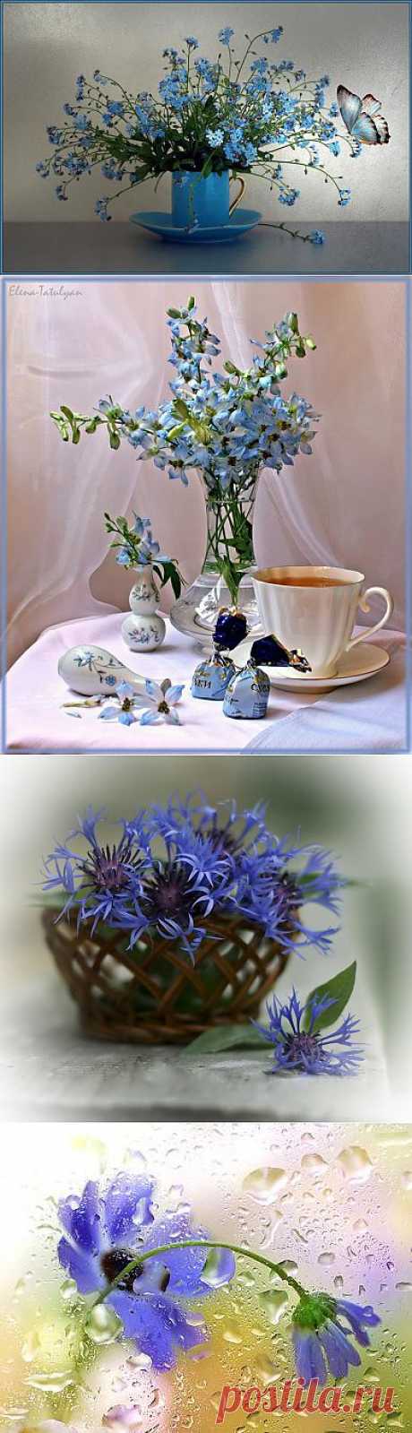 Натюрморт цвета неба.