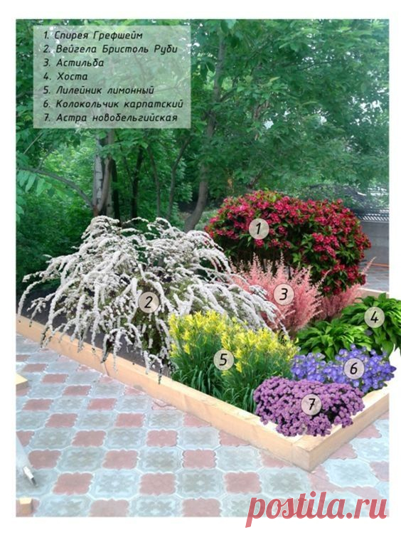 pju6GmJdppI.jpg (564×752)
