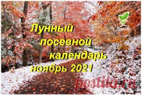 Лунный посевной календарь садоводов, огородников, цветоводов на ноябрь 2020 года (таблица), благоприятные дни | Дачный участок