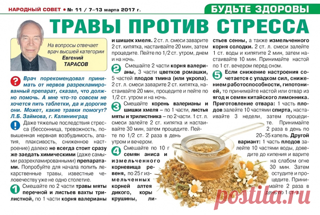 Травы против стресса