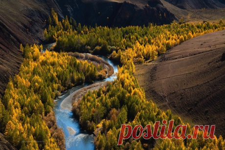 Фантастическое урочище Кокоря, Горный Алтай. Автор фото – Александр Дверников: nat-geo.ru/community/user/51771/