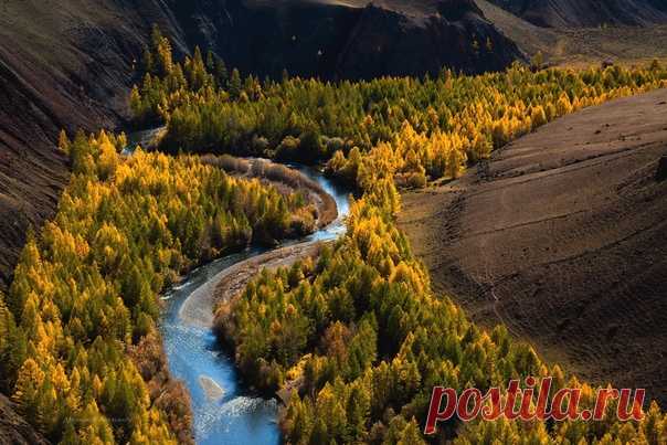 Фантастическое урочище Кокоря, Горный Алтай. Автор фото – Александр Дверников: nat-geo.ru/community/user/51771/