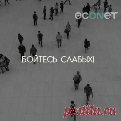 Екатерина Шлёмина