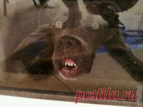 Fishki.net - Сайт хорошего настроения