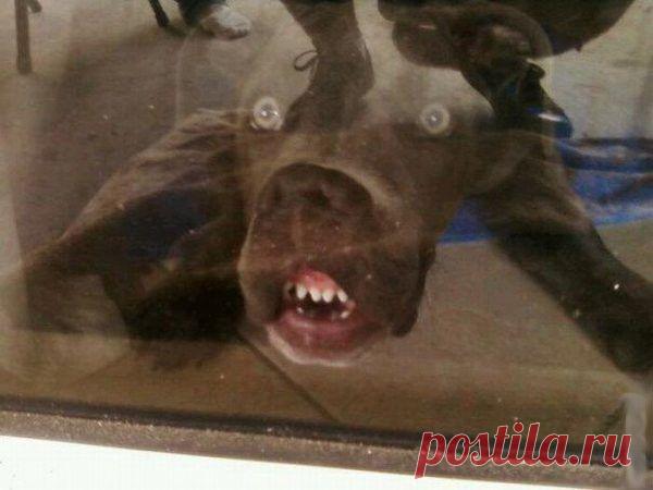 Fishki.net - Сайт хорошего настроения