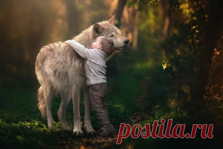 (2) Мой Мир@Mail.Ru