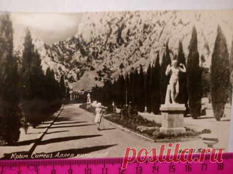 открытка 1950. Крым. Семеиз. Аллея кипарисов. Фото И.Тувина издание Главкурортторг тир. 40 (торги завершены #213233161)