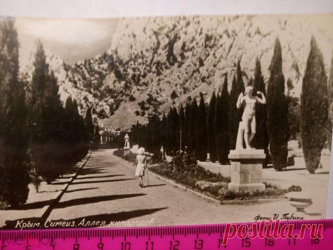открытка 1950. Крым. Семеиз. Аллея кипарисов. Фото И.Тувина издание Главкурортторг тир. 40 (торги завершены #213233161)