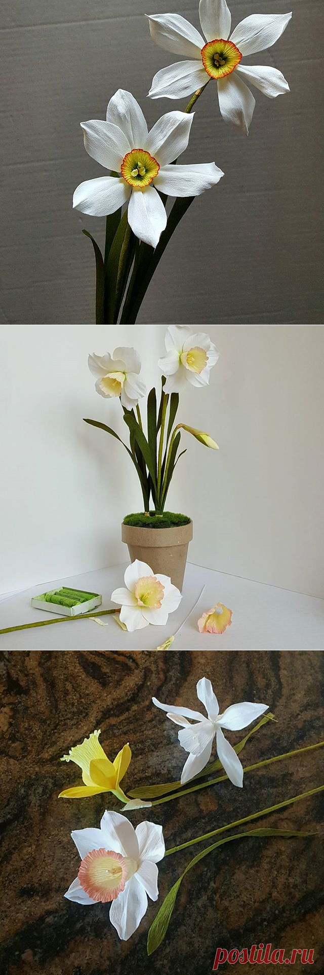 Lynn Dolan (@lmdolan75) • Фото и видео в Instagram