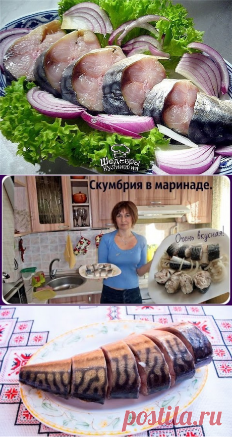 Маринованная скумбрия        
Одноклассники