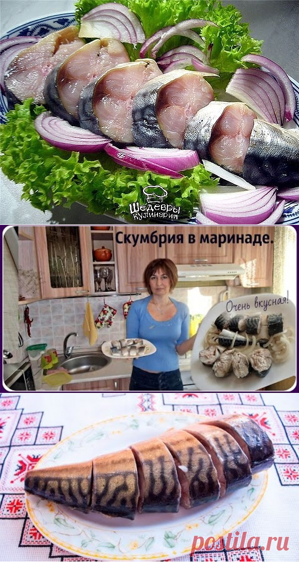 Маринованная скумбрия        
Одноклассники