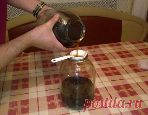 Настойка на кедровых орехах на водке - рецепты, применение