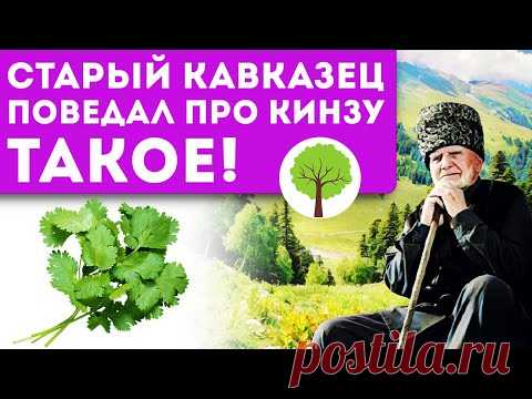 Кинзу залей водой и... 10 неожиданных свойств кориандра!