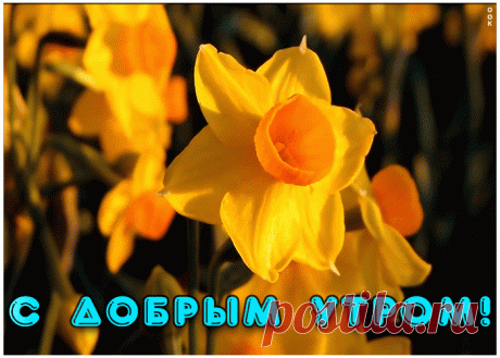 С добрым утром вас