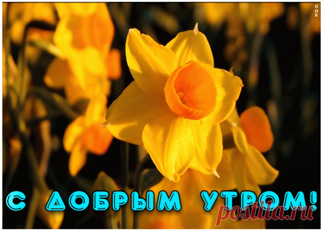 С добрым утром вас