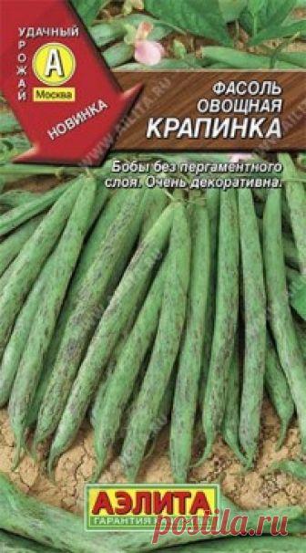 Семена. Фасоль вьющаяся 