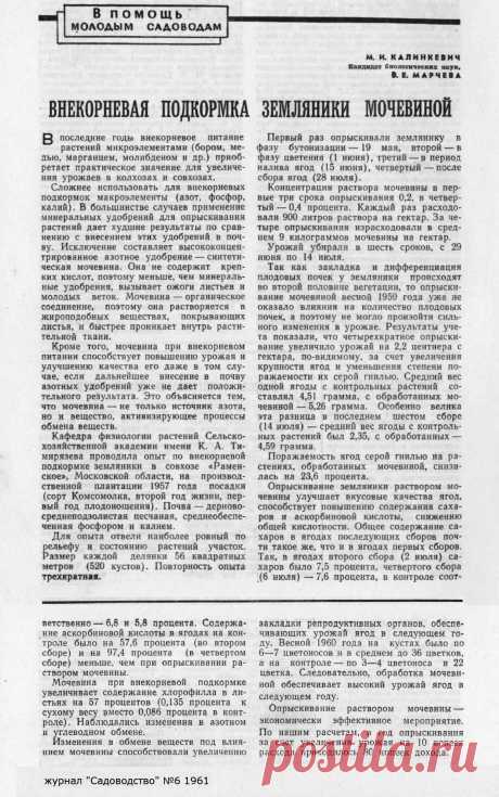Внекорневая подкормка земляники мочевиной

| клубника на зиму