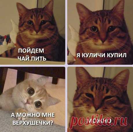 Яндекс.Район Яндекс.Район. Екатеринбург Железнодорожный. 18.04.2020: В Уральском управлении Банка России рассчитали "индекс кулича" в разных регионах Урала. Специалисты сравнили стоимость продуктов, необходимых для…