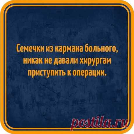 Vasya Petrov: Весёлые картинки #20