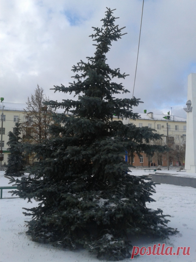 Осень с зимою,сплелись косою...