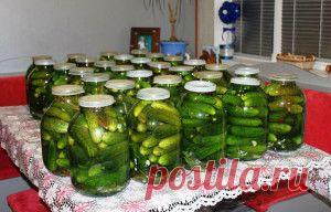 Солёные огурцы