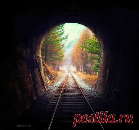 Волшебные пейзажи от фотографа Jaewoon U | РОЗЫ