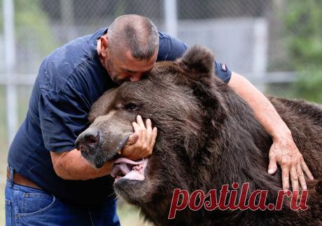 Большой друг