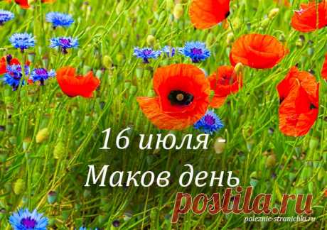 Народные приметы 16 июля в Маков день. Что не стоит делать 16 июля, а что надо сделать, чтобы деньги прибавлялись, для удачи, защиты от зла